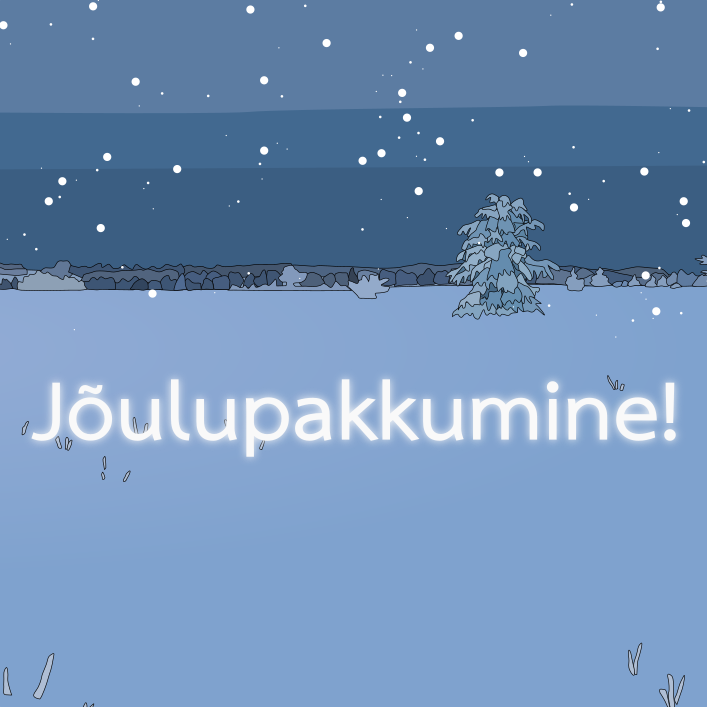 Jõulupakkumine 2024